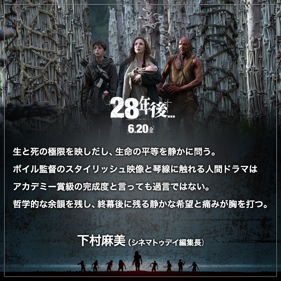 コメント画像3