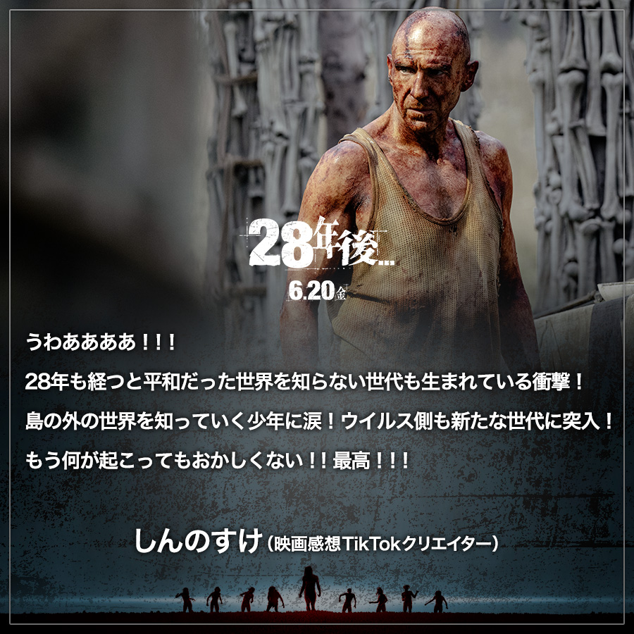 コメント画像5
